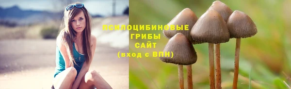 гашишное масло Беломорск