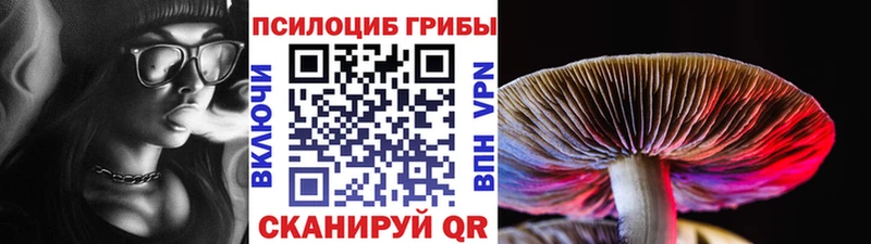 ссылка на мегу вход  Кущёвская  Галлюциногенные грибы MAGIC MUSHROOMS 