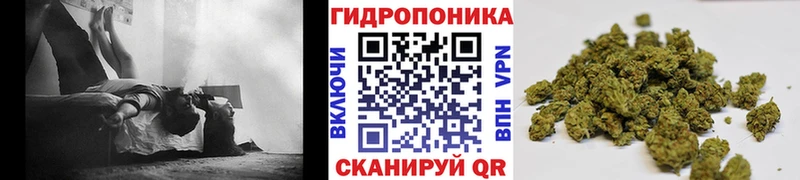 Шишки марихуана гибрид  Кущёвская 